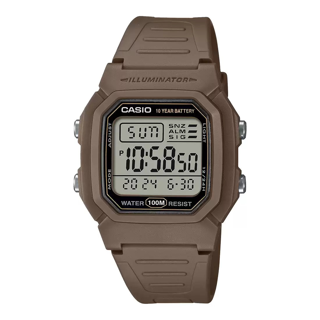 CASIO (D334)