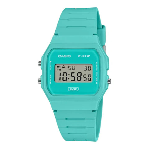 CASIO (D376)