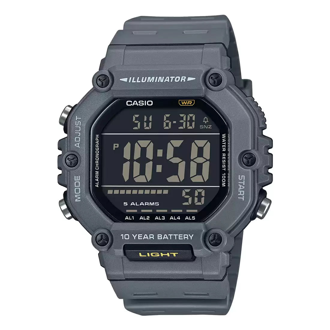 CASIO (D387)