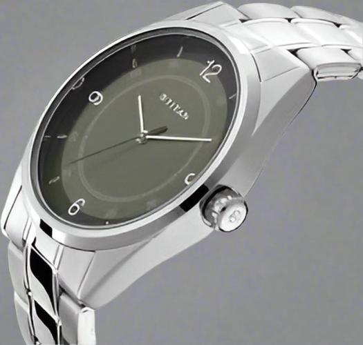 TITAN 1729SM03