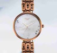 Titan Raga Chic Mother Of Pearl Dial Analog Metal Strap Watch for Women nt2659qm01 Women's Watch