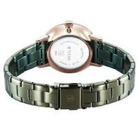 TITAN NT95248KM03 Titan TGIF Quartz Analog Green Dial Green Stainless Steel Strap Watch for Women