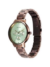 2648QM03 Titan Razzle Dazzle Quartz Analog with Day and Date Green Dial Brown Stainless Steel Strap Watch For Women