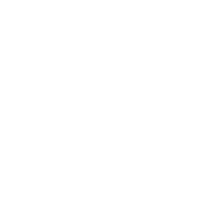 Brand Icon