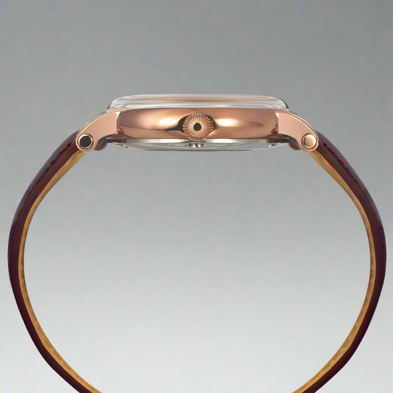 Side View Of Timex TWEG16719 Brown and Rose Gold Chronograph Watch for Men with White Dial, Rose Gold Accents, Leather Fabric Strap, and 30M Water Resistance