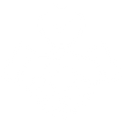Brand Icon
