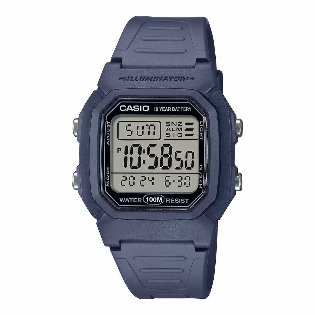 CASIO (D333)