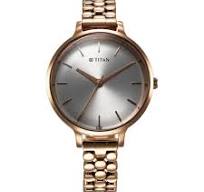 2709WM02 Titan Secluded Quartz Analog Silver Dial Metal Strap Watch For Women