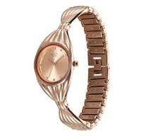 Titan Raga Memoirs Quartz Analog Rose Gold Dial With Rose Gold Metal Strap Watch For Women nt95254wm01f Women's Watch