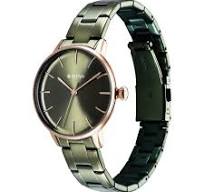 TITAN NT95248KM03 Titan TGIF Quartz Analog Green Dial Green Stainless Steel Strap Watch for Women