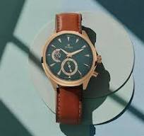 TITAN NT1829QL01 Titan Maritime Green Dial Quartz Multifunction Leather Strap watch for Men