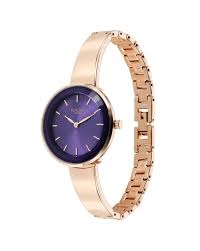 TITAN NT95276WM01 Titan Raga Showstopper Quartz Analog Purple Round Dial Rose Gold Metal Strap Watch For Women