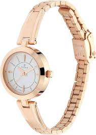 NT2598WM01 Titan Quartz Analog Silver Dial Rose Gold Metal Strap Watch For Women