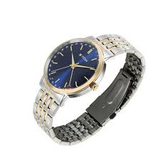 TITAN 90202BM01 Titan Elegance Analog with Date by Hand and Blue Dial Stainless Steel Two Toned Strap Watch for Men