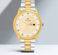 NT1584BM02 Titan Quartz Analog with Day and Date Champagne Dial Two Toned Stainless Steel Strap Watch For Men