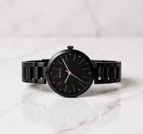 TITAN NT2480NM01 Titan Workwear Quartz Analog Black Dial Black Stainless Steel Strap Watch for Women