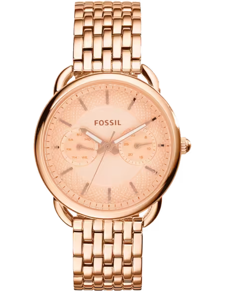 FOSSILES3713