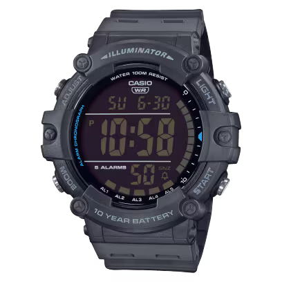 CASIO (D219)