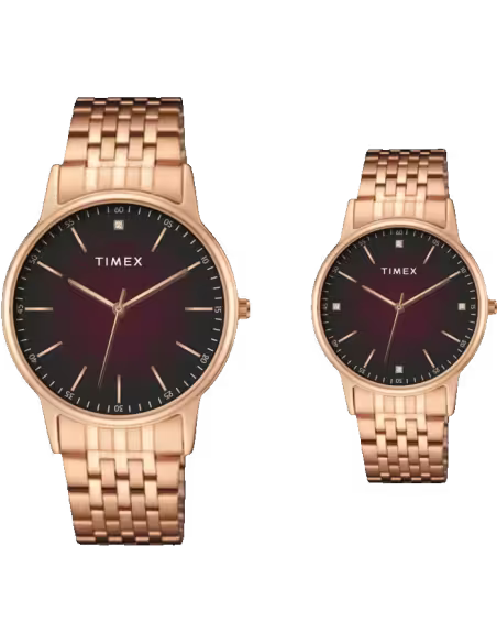 TIMEX Round Brown Dial Analog Pair's Watch - TW00PR328