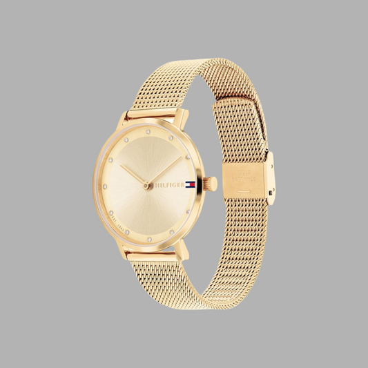 Tommy Hilfiger 1782728 Men's Chronograph Watch with Gold Stainless Steel Strap and Dial